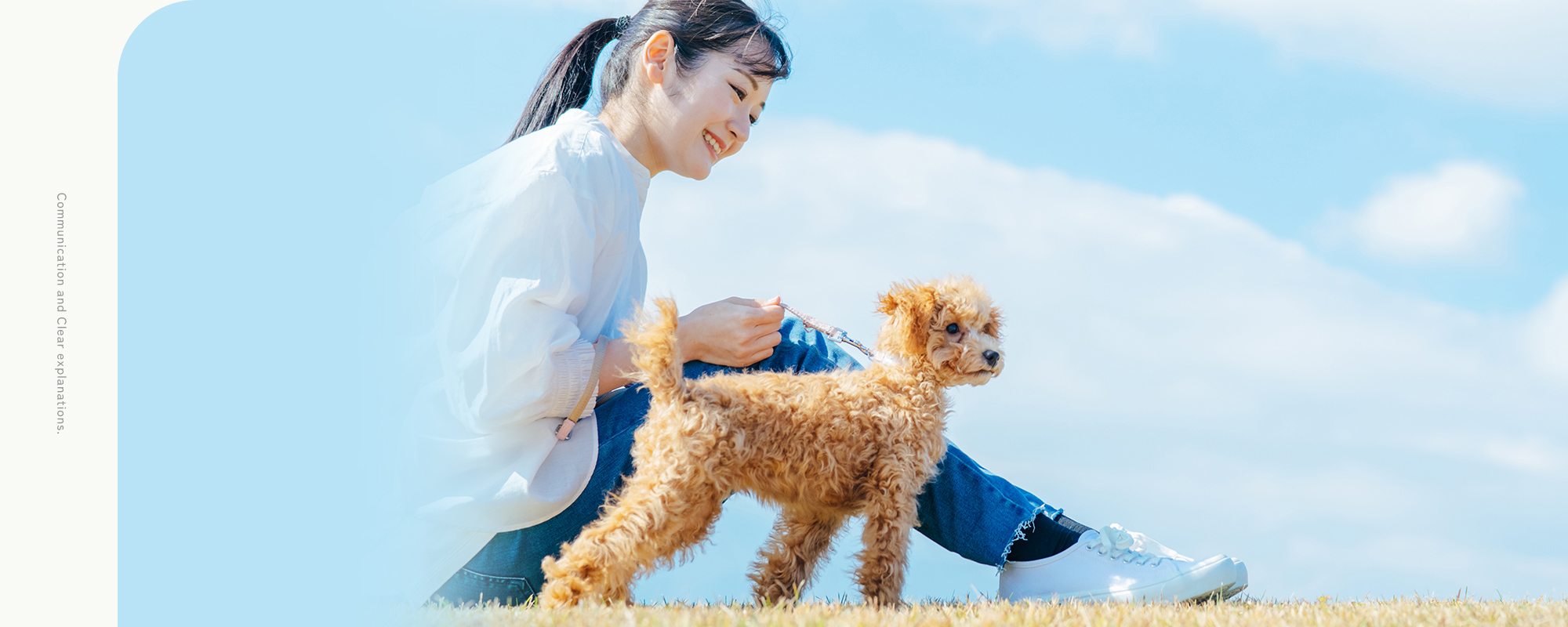 Communication and Clear explanations.