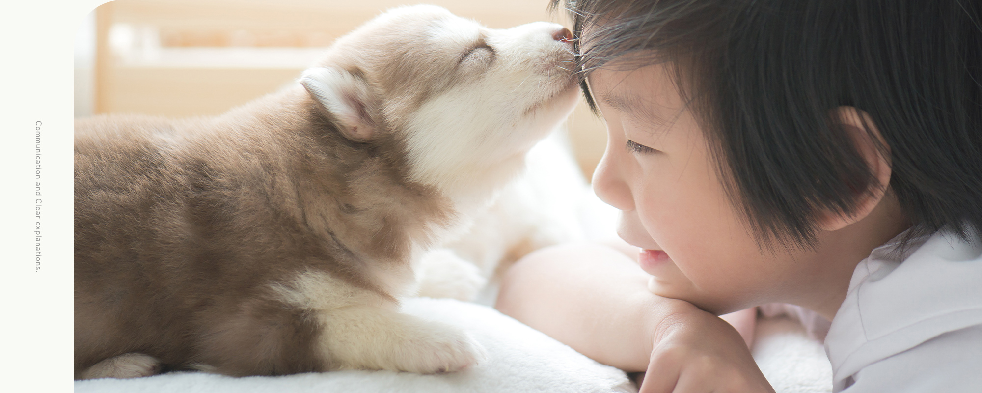 Communication and Clear explanations.