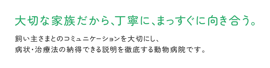 大切な家族だから、丁寧に、まっすぐに向き合う。飼い主さまとのコミュニケーションを大切にし、病状・治療法の納得できる説明を徹底する動物病院です。