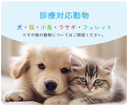 診療対応動物 犬・猫・小鳥・ウサギ・フェレット※その他の動物についてはご相談ください。